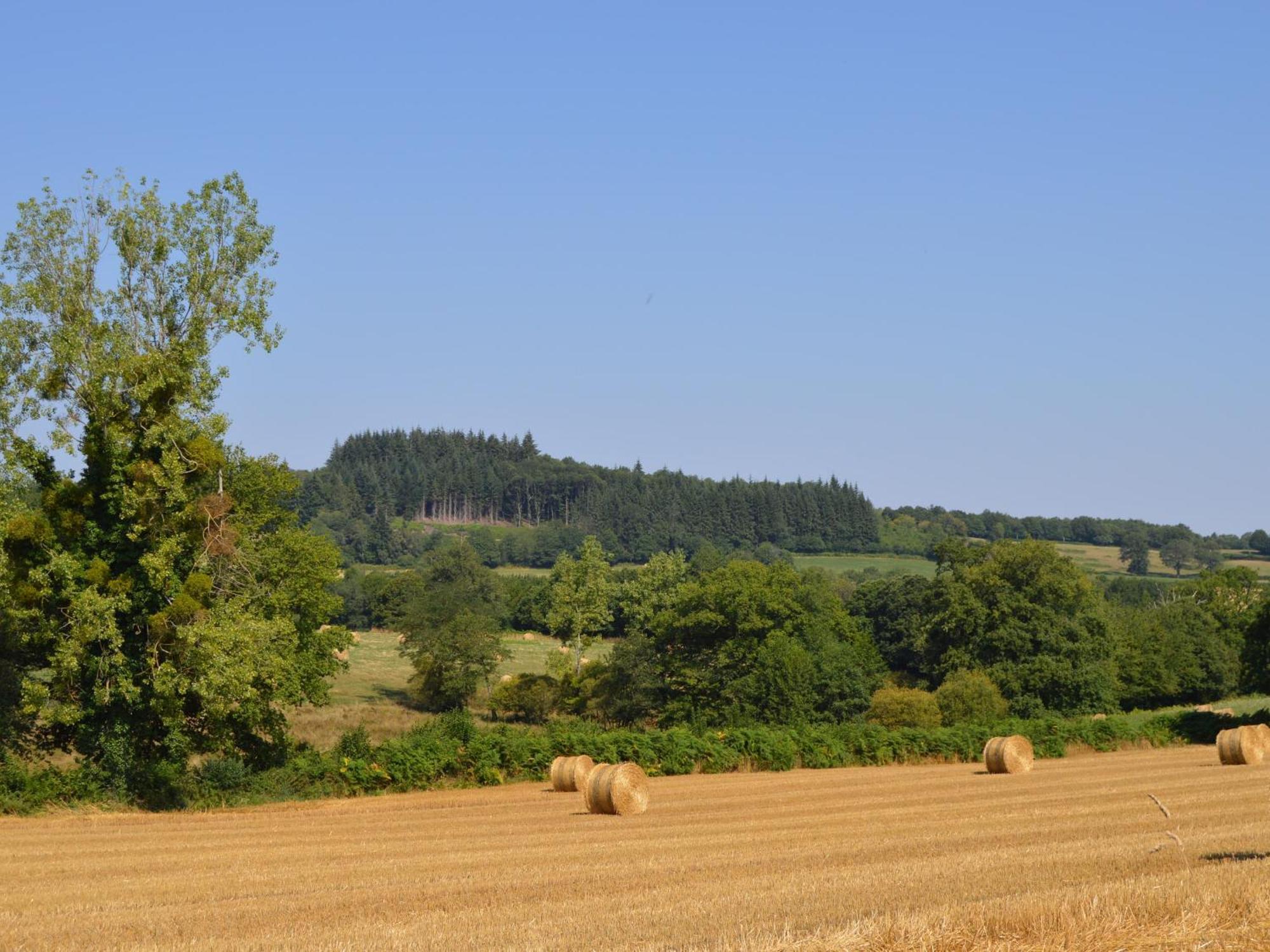 Willa Grande Ferme Renovee Avec Jardin Et Loisirs A Proximite - Fr-1-591-155 Pouligny-Notre-Dame Zewnętrze zdjęcie